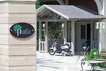 Thalia 度假村 Ilica (Manavgat)